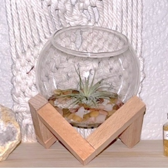 🌵 Cactus/ Succulent/Air Plants Glass Planter with Wooden Stand - Picture 7 of 9